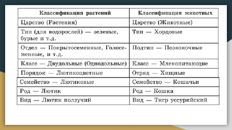 Farmf | литература для фармацевтов : лекции » систематика как наука. основы систематики организмов