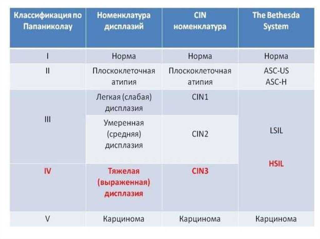 4. история изучения клетки. клеточная теория. биология. общая биология. 10 класс. базовый уровень