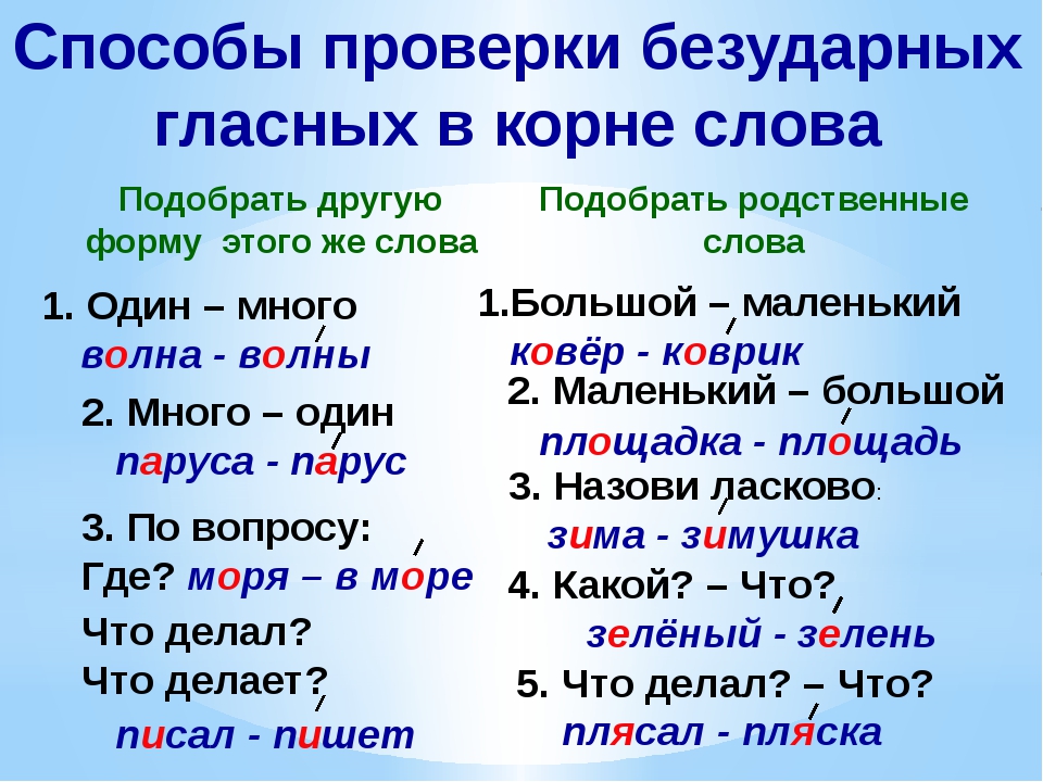Согласно «чего» или «чему»?