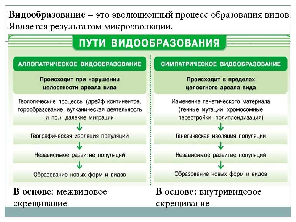 Популяционная структура вида