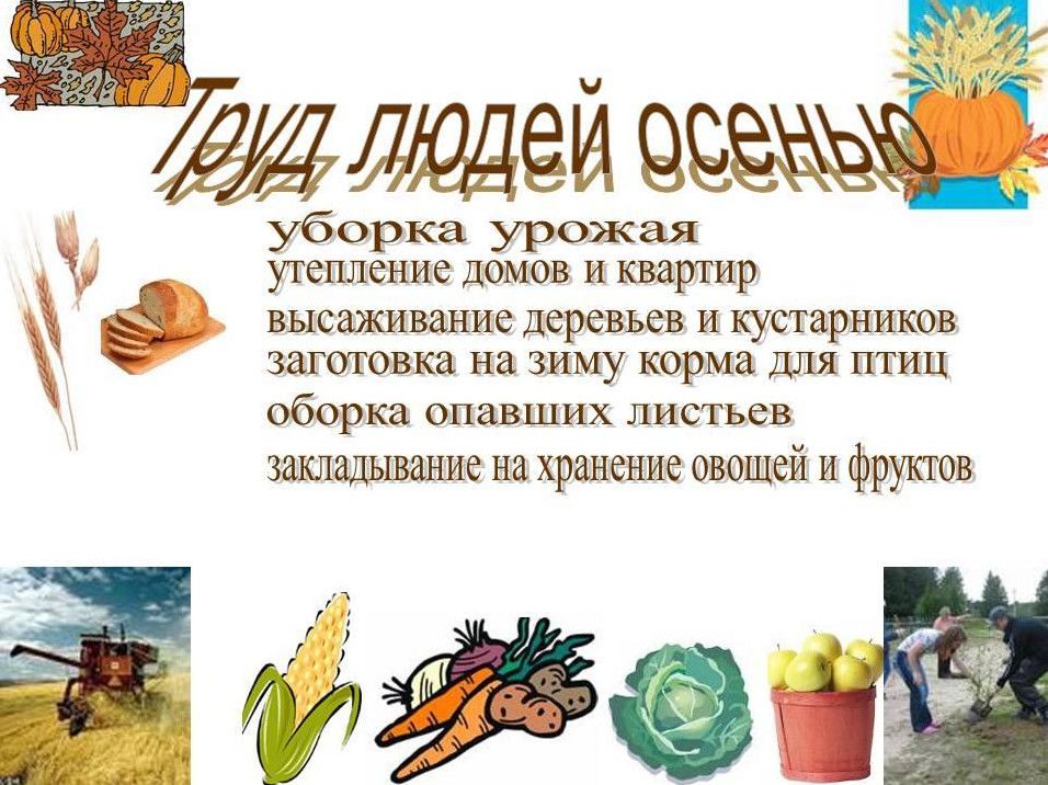 Что означает слово урожай?