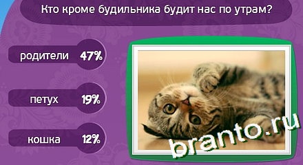 Как пишется: «не смогу» или «несмогу»?