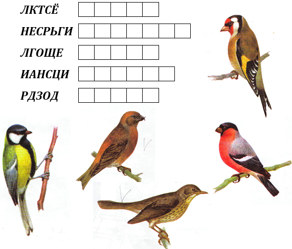 Почему слово «птицы» пишется с большой буквы?