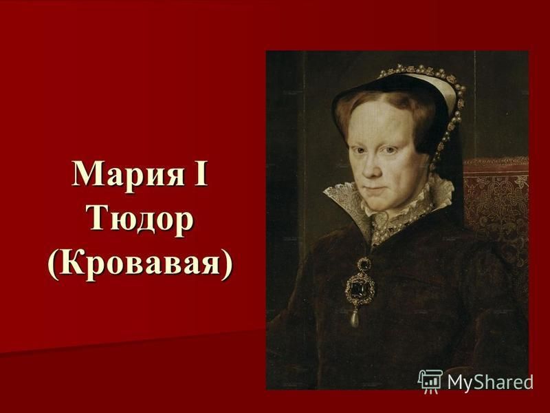 Мария кровавая: ее вклад в развитие англии