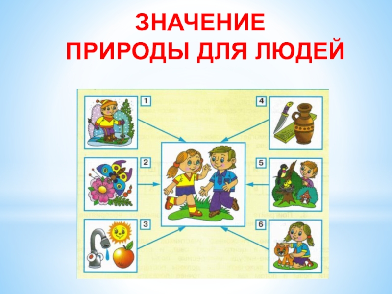 Урок географии в 7 классе "роль географической науки в рациональном использовании природы" - уроки совы филиновны
