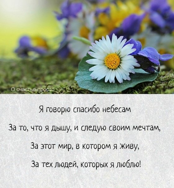 Как пишется дамы и господа с большой буквы - slovrus.ru - основы правописания русского языка