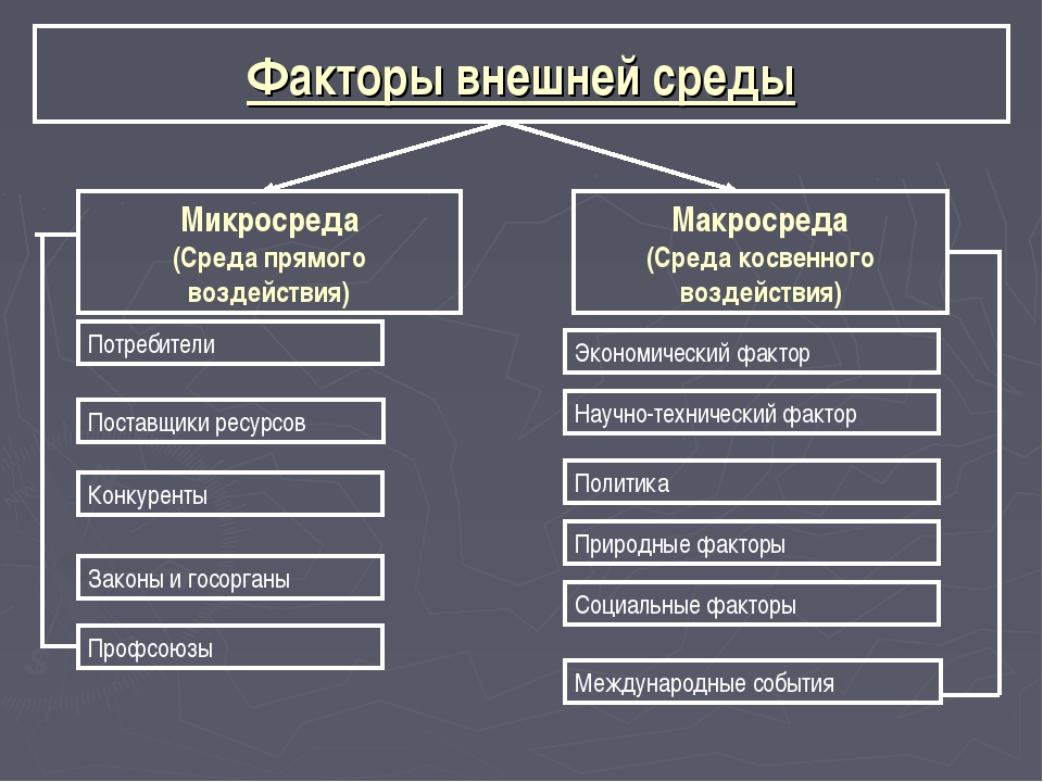 Социальные группы: виды, признаки, характеристика и функции в обществе кратко