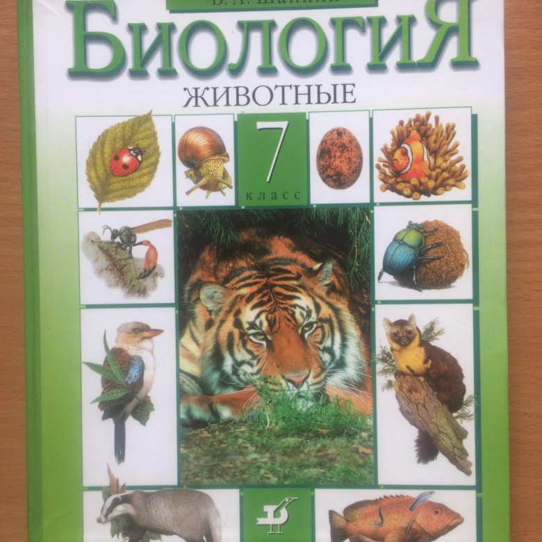 Организм человека. органы и физиологические системы / биология человека 8 класс
