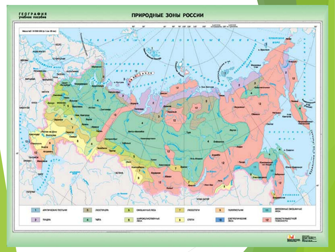 Природные зоны россии: характеристика и географическое положение на карте мира, зональность и почвы
