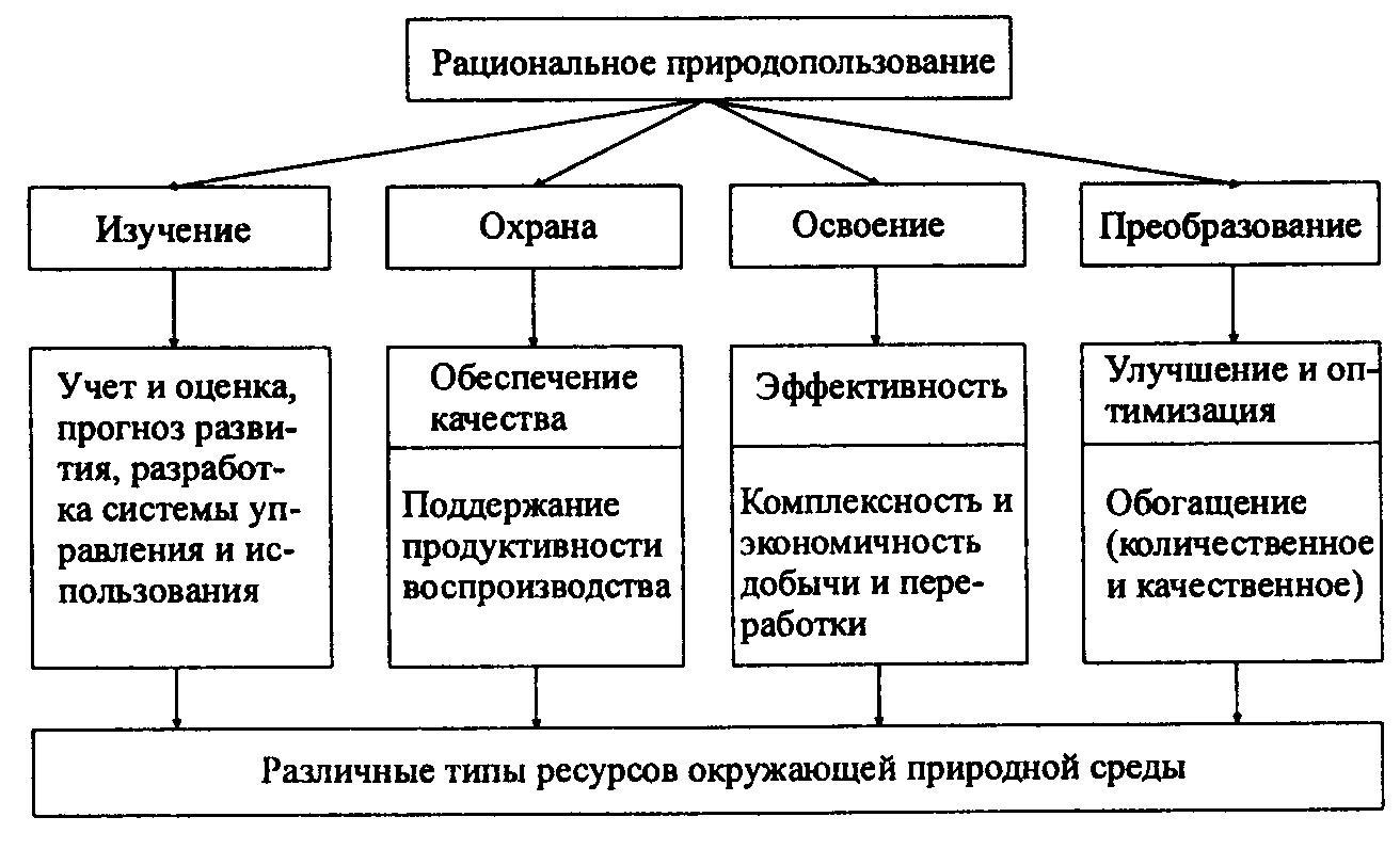 Рациональное  природопользование: что под этим подразумевают, особенности, основные пути
