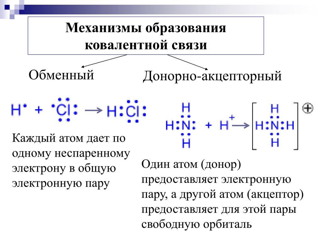 Новая страница 5