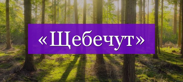 Проверочное слово к не кори
