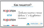 Поролон, паралон или поралон: как правильно пишется слово?