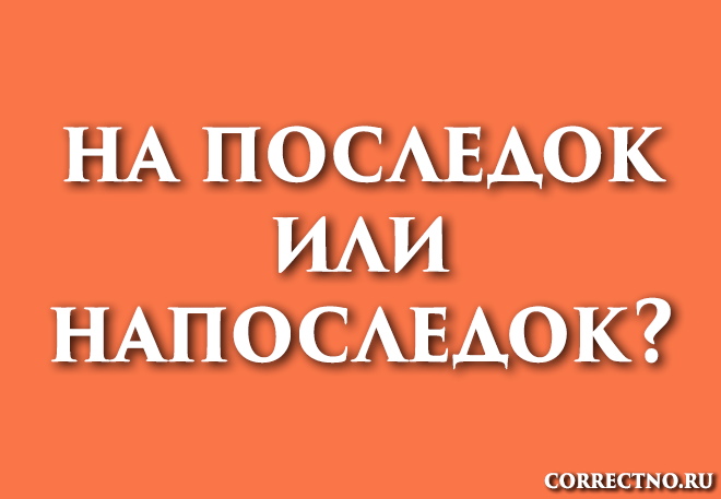 Узнаем как правильно пишется слово не последний Правила русского языка и примеры предложений