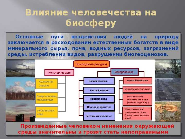 Антропогенные воздействия на биосферу