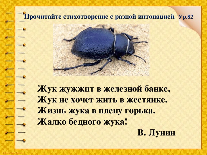 Как правильно пишется слово «жучок» и почему это важно для понимания его значения и смысла?
