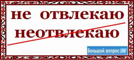 Как правильно писать «неспешно»: морфологический и фонетический анализ слова