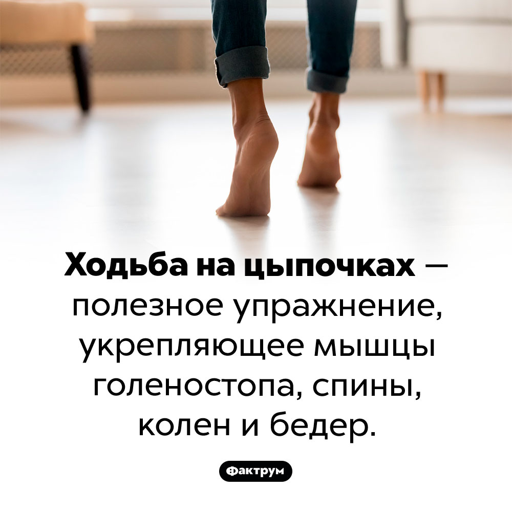 Справочник по русскому языку