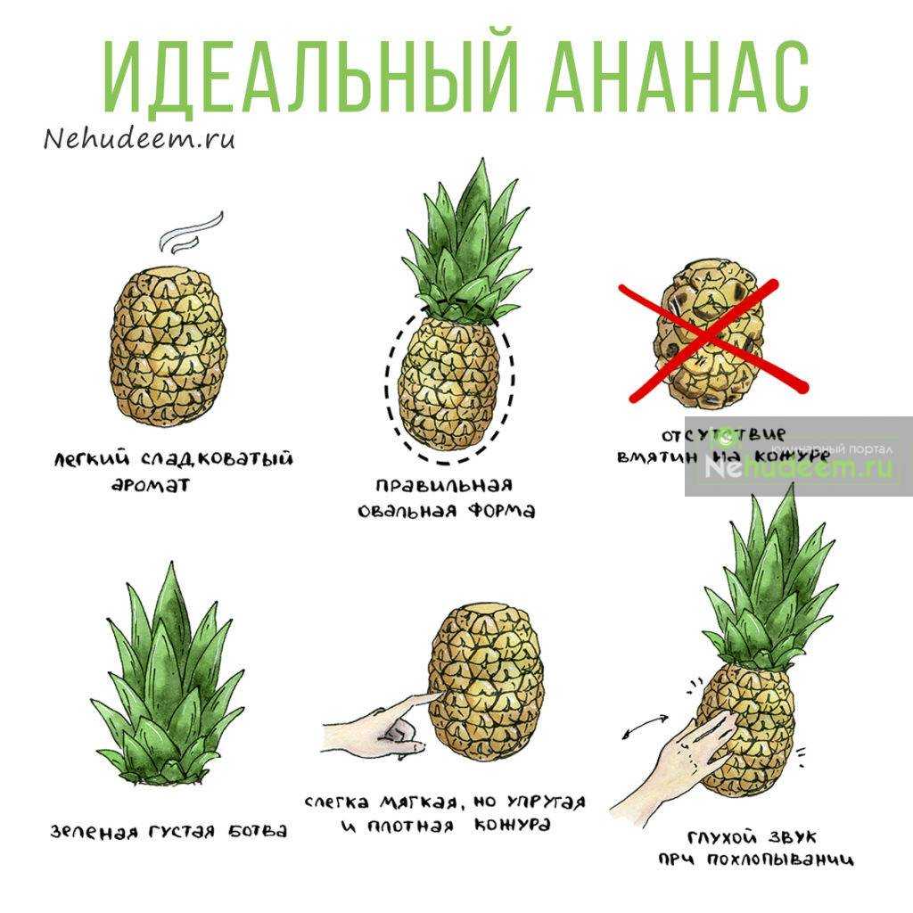 Правильное правописание: «пополам» или «по полам»