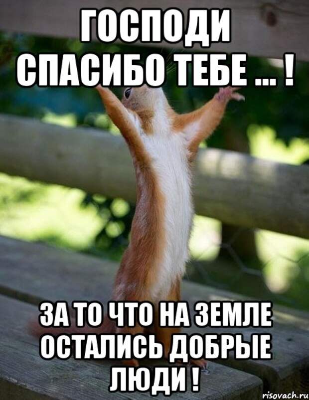 Как правильно пишется: «премного благодарен» или «примного благодарен»?