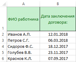 Соотношение возраста кошки и человека