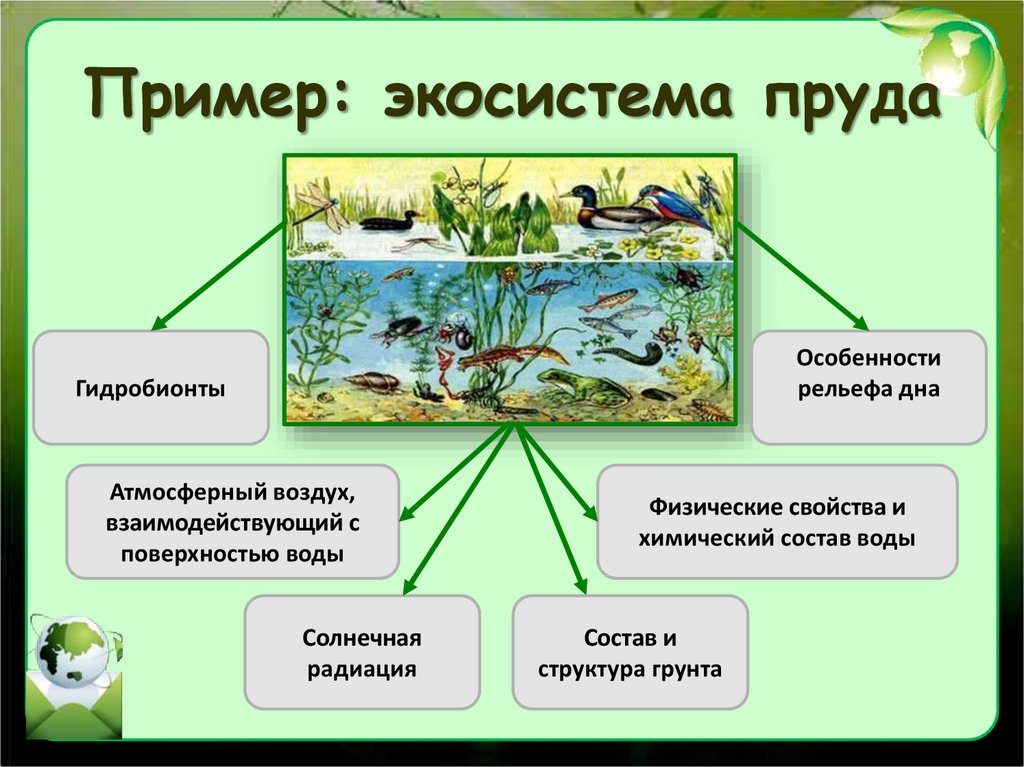 Экология