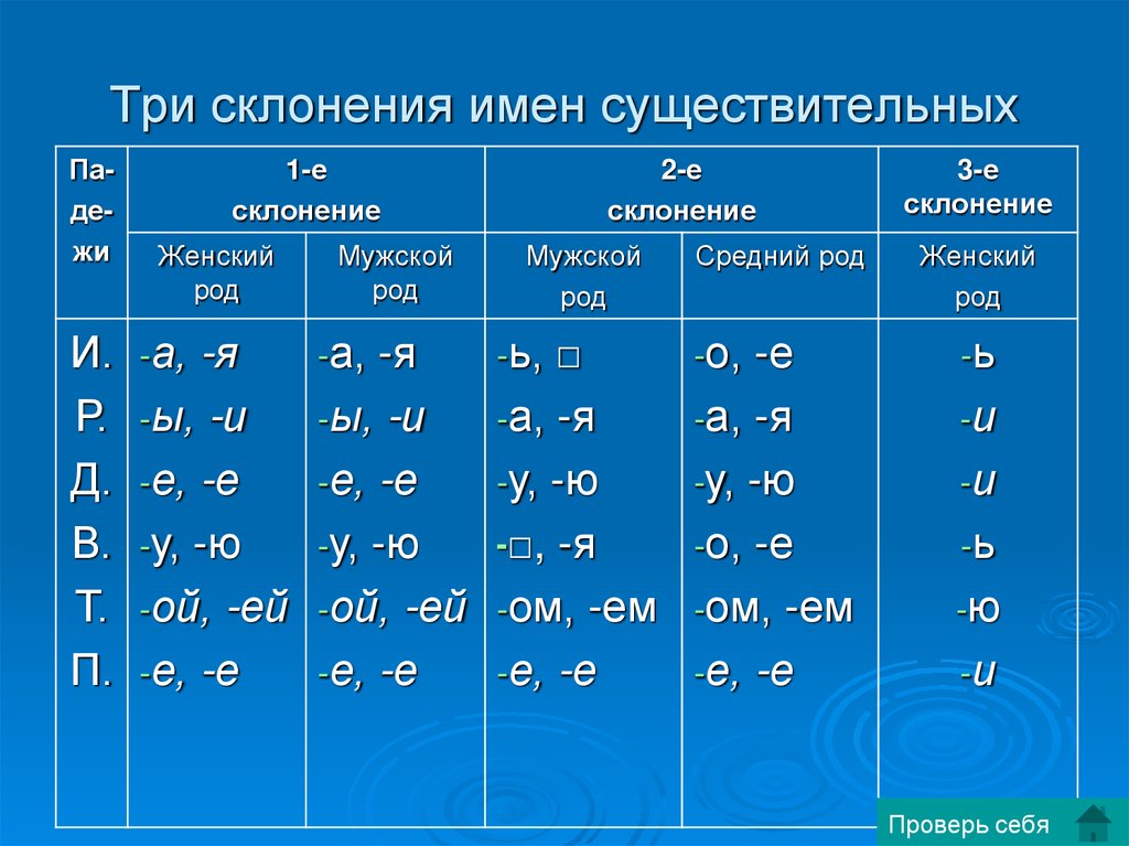 Не с частями речи 5 класс онлайн-подготовка на ростелеком лицей | тренажеры и разбор заданий