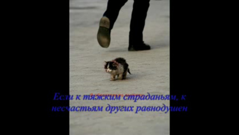 Как правильно пишется слово обязательна или обязательно