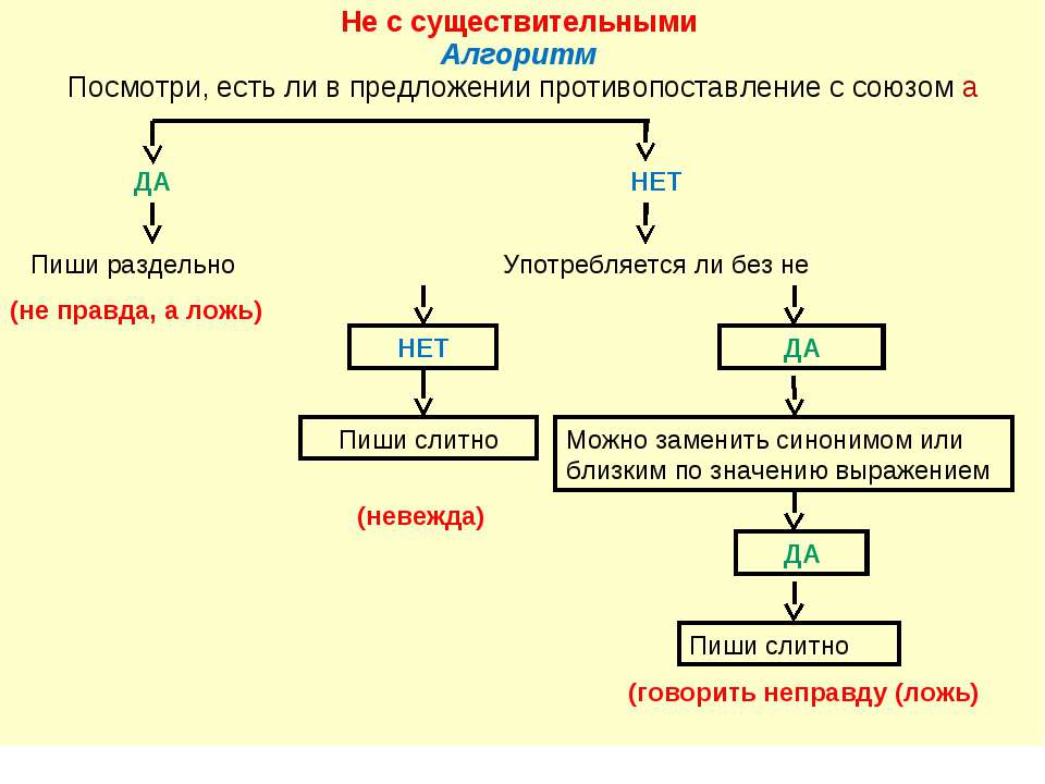 Правописание "не только": грамматика, ошибочные формы, употребление