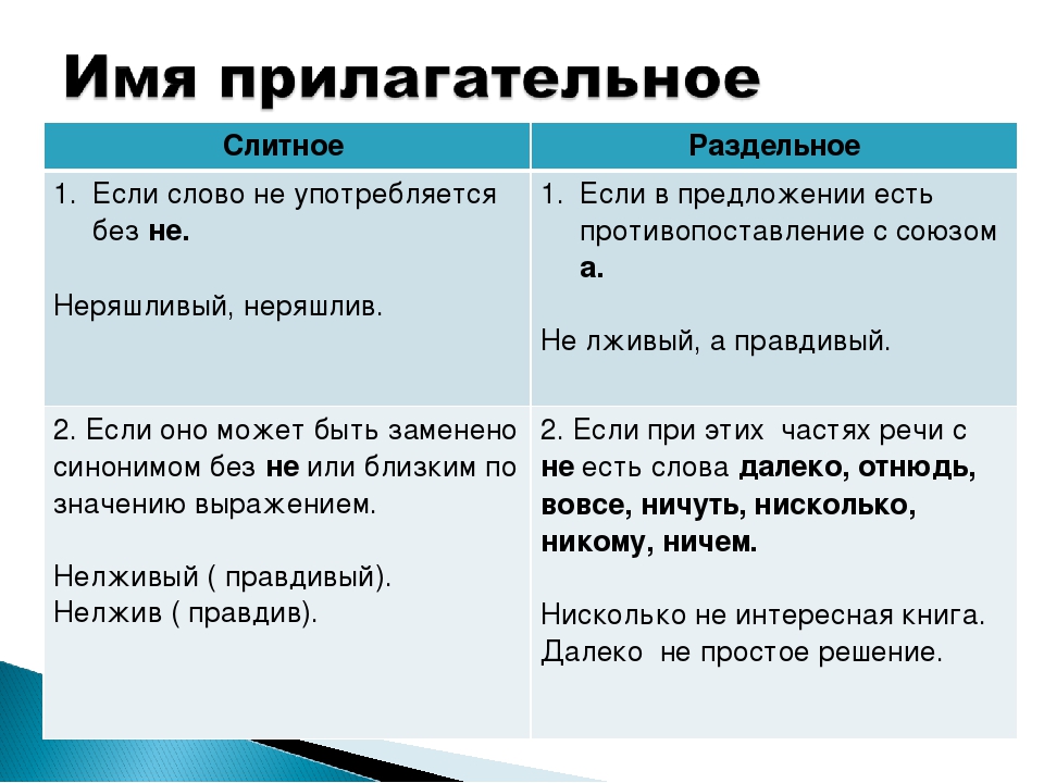 Как пишется не целесообразно или нецелесообразно это