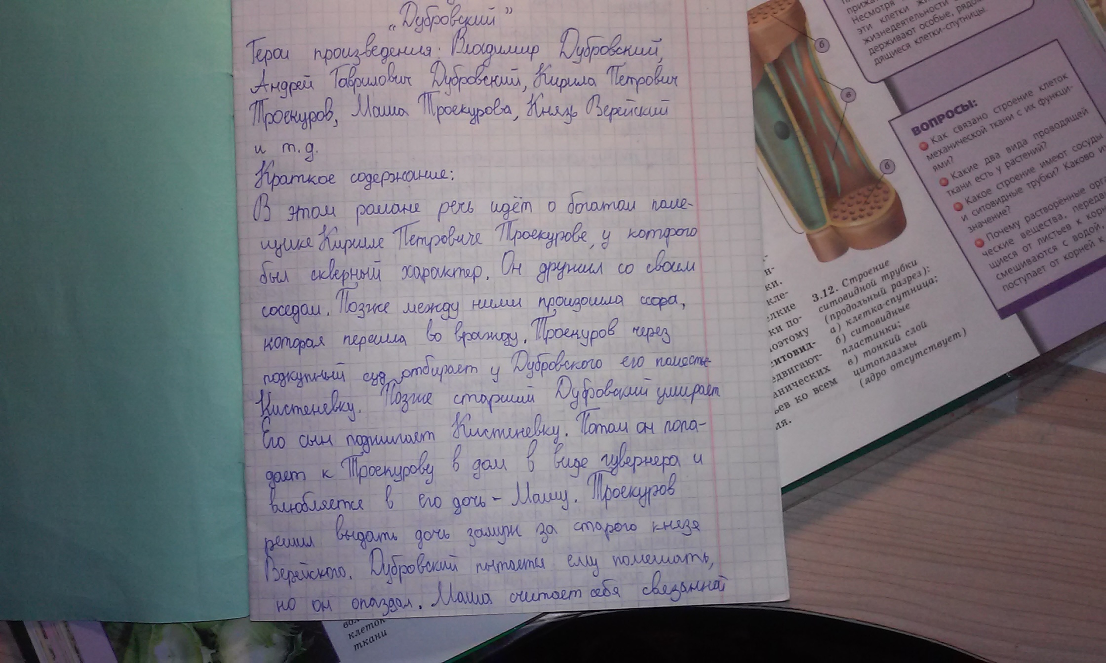 Дубровский