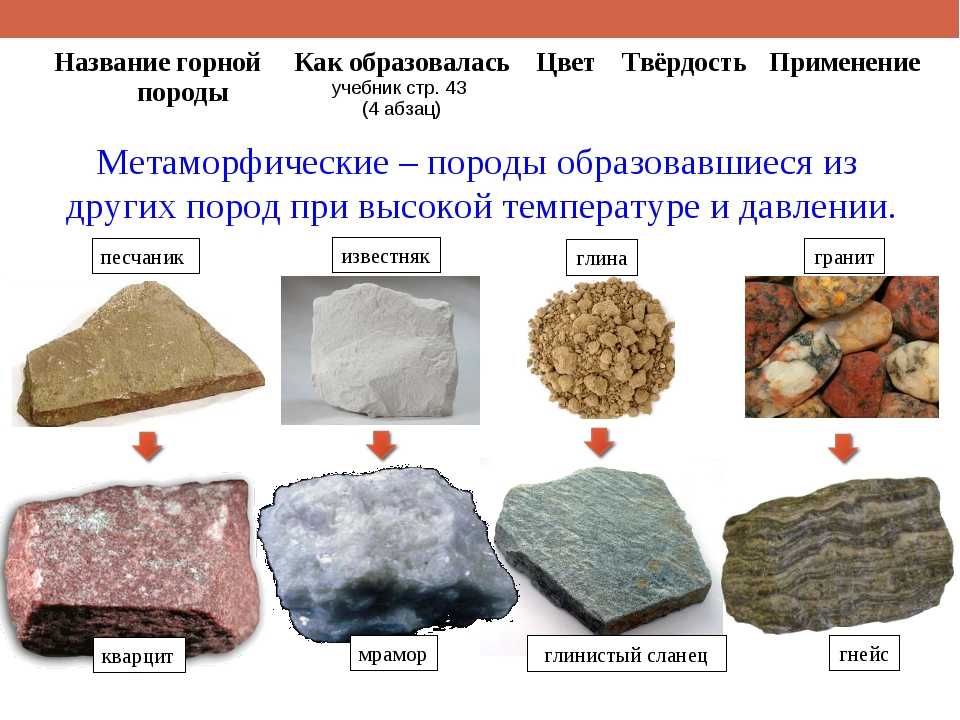 Что у нас под ногами? стр. 20 - 21. окружающий мир 1 класс 1 часть