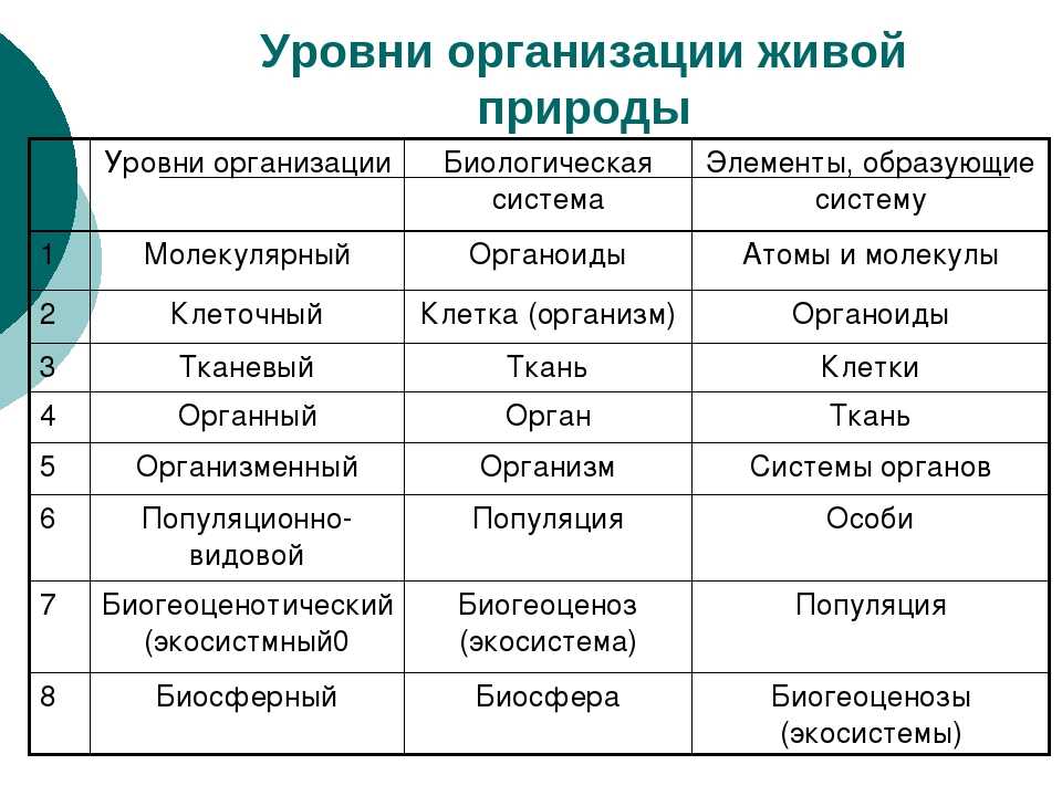 Водная  среда обитания: чем характеризуется, плюсы и минусы, обитатели, черты приспособления