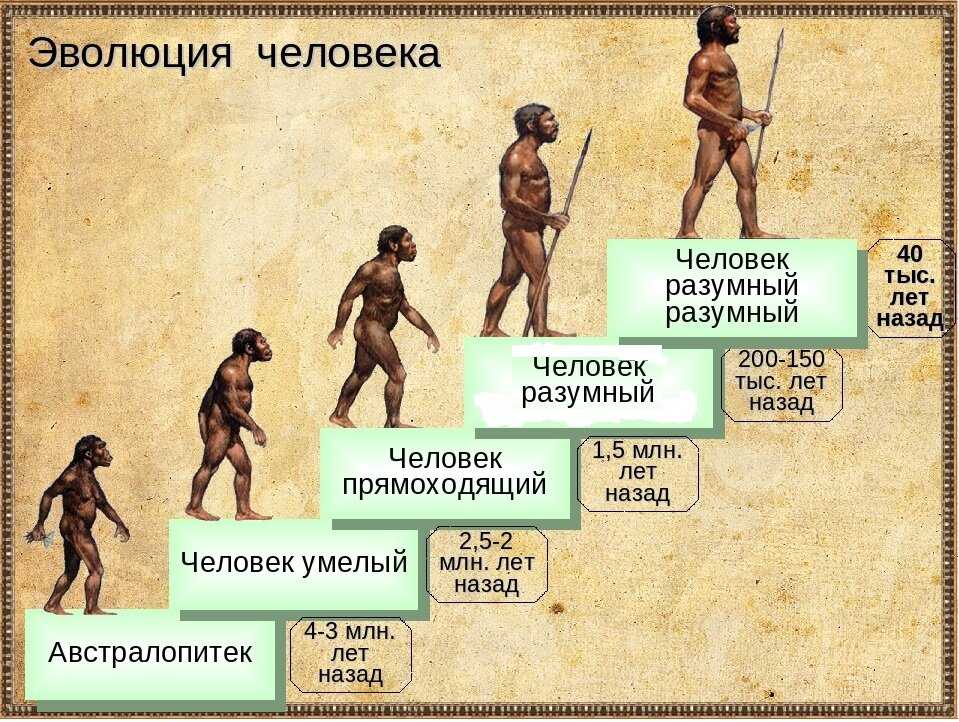 Появления первых людей Средние века в истории человечества Новая история История Новейшего времени