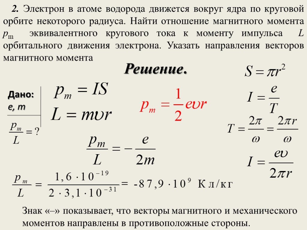 Ядерная ⚠️ энергетика: что это в физике, роль отрасли в жизни человечества, примеры, кратко