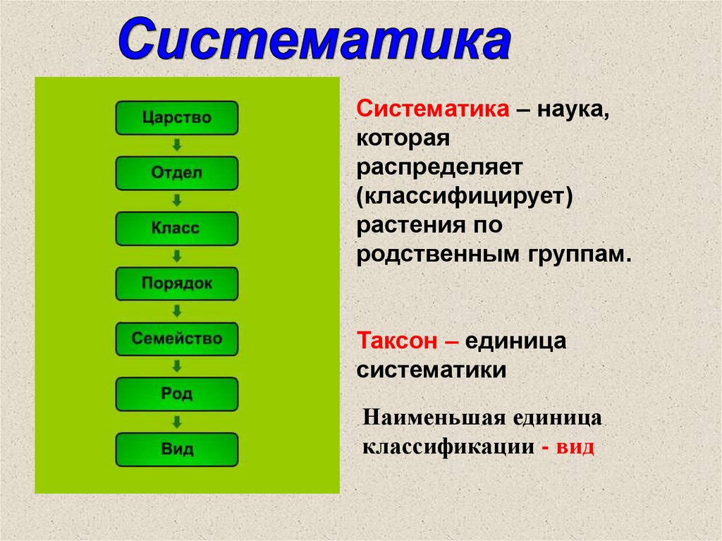 Биология