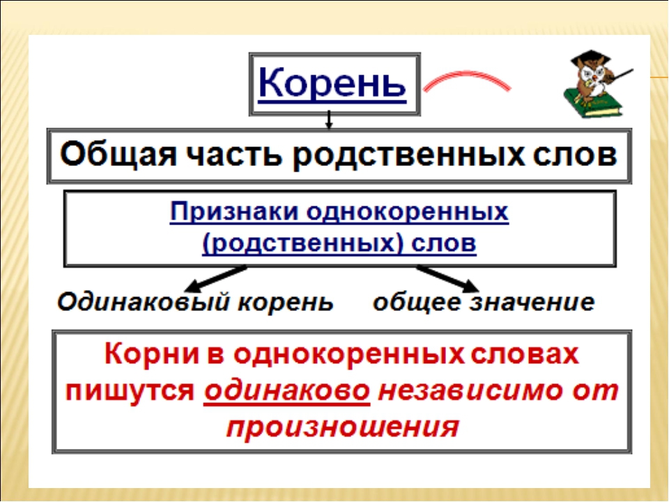 Родственные слова ️ определение, правила и условия образования