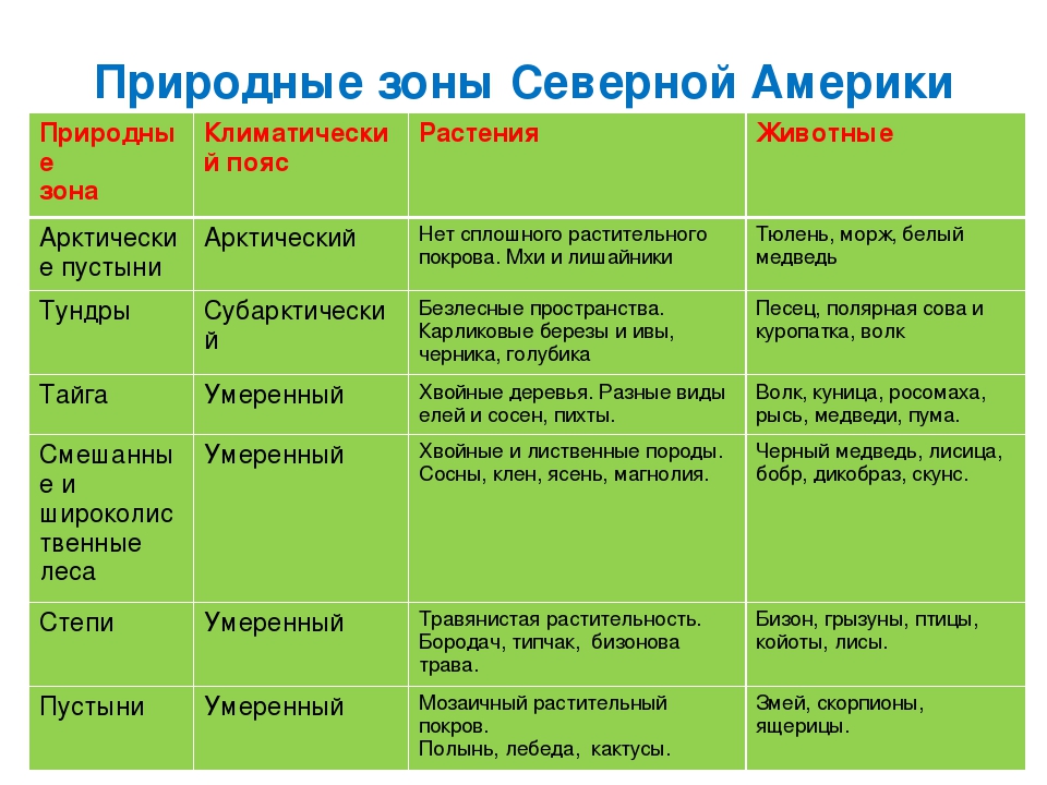 Природные зоны россии: виды, характеристика, отличия