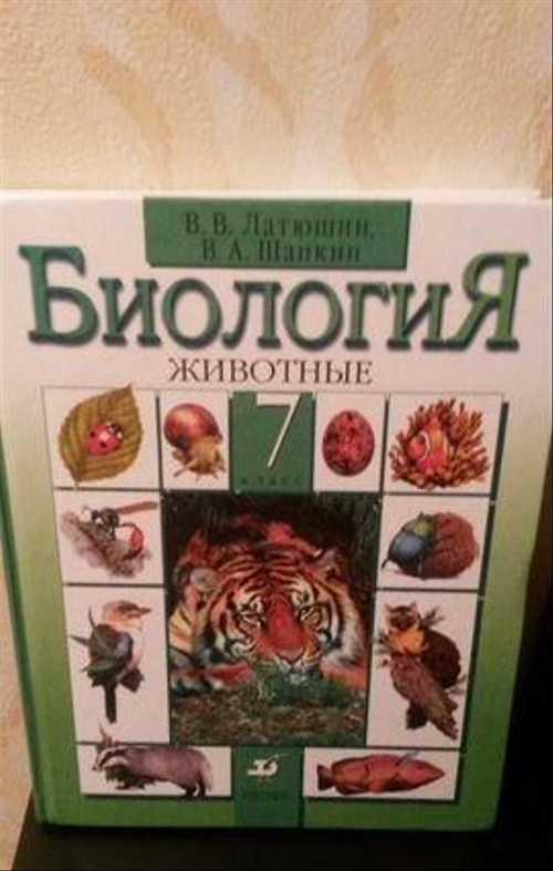 Системы  организма человека: их виды, количество и функции, взаимодействие