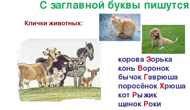 Собственные и нарицательные имена существительные