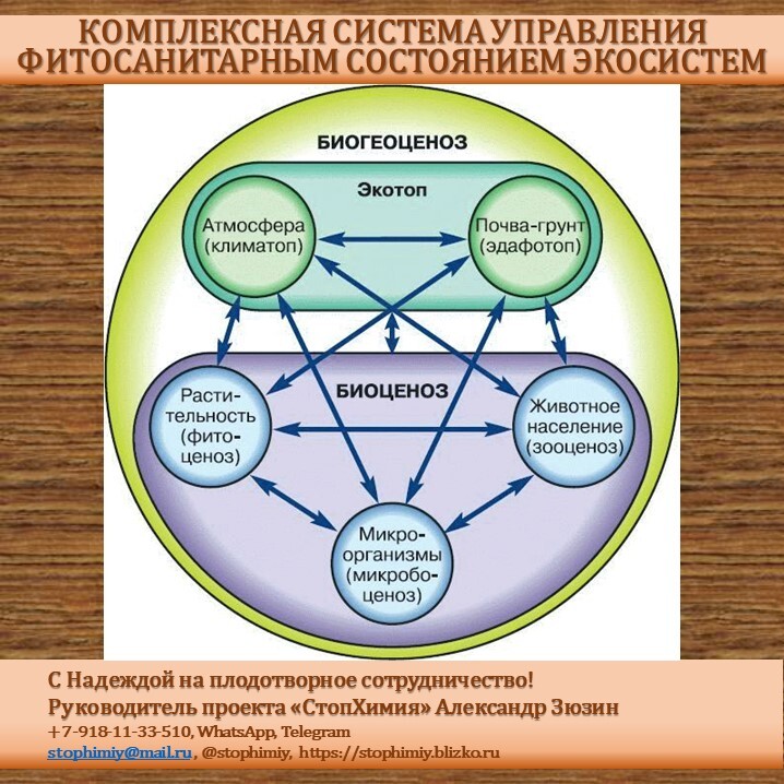 Биоценоз леса, структура, роль животных, птиц и растений