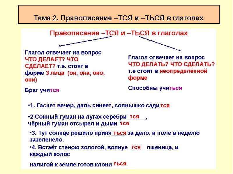 Мягкий знак после шипящих: когда пишем, когда нет