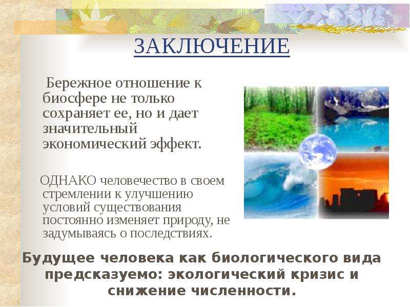 Человек и биосфера - примеры влияния и взаимодействия