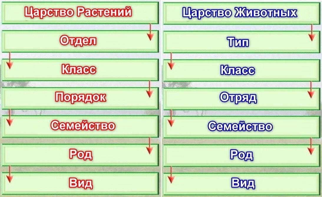 Биология