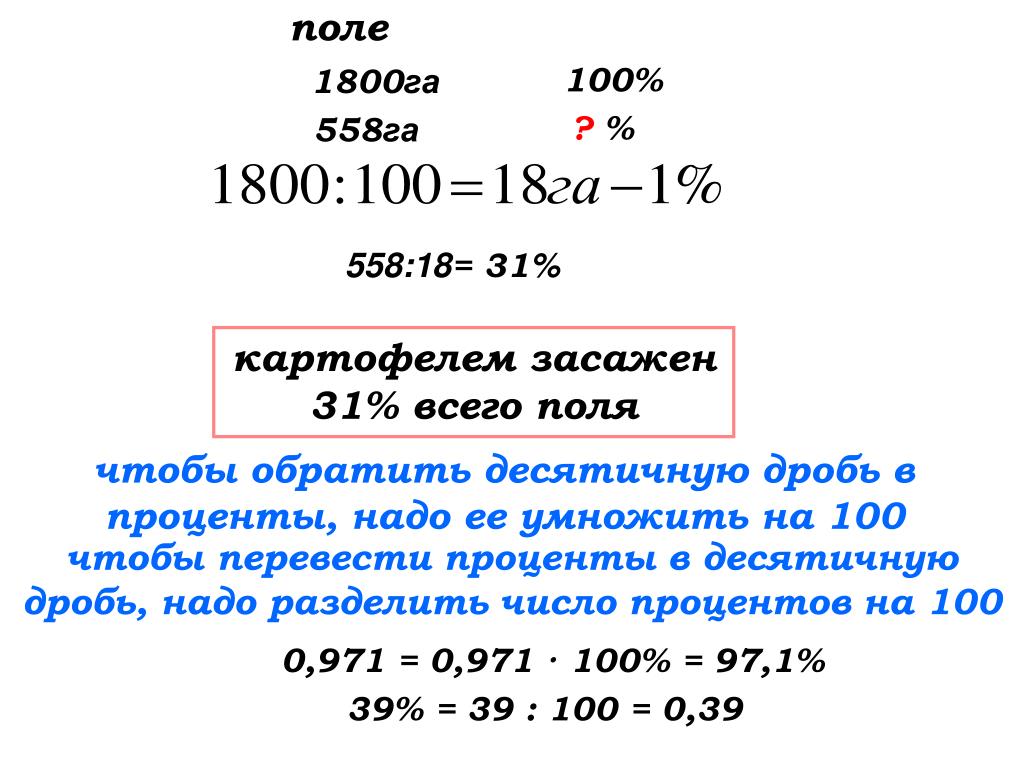 Калькулятор перевода дробей в проценты