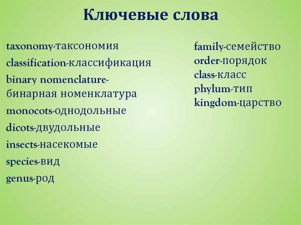 Семейства растений