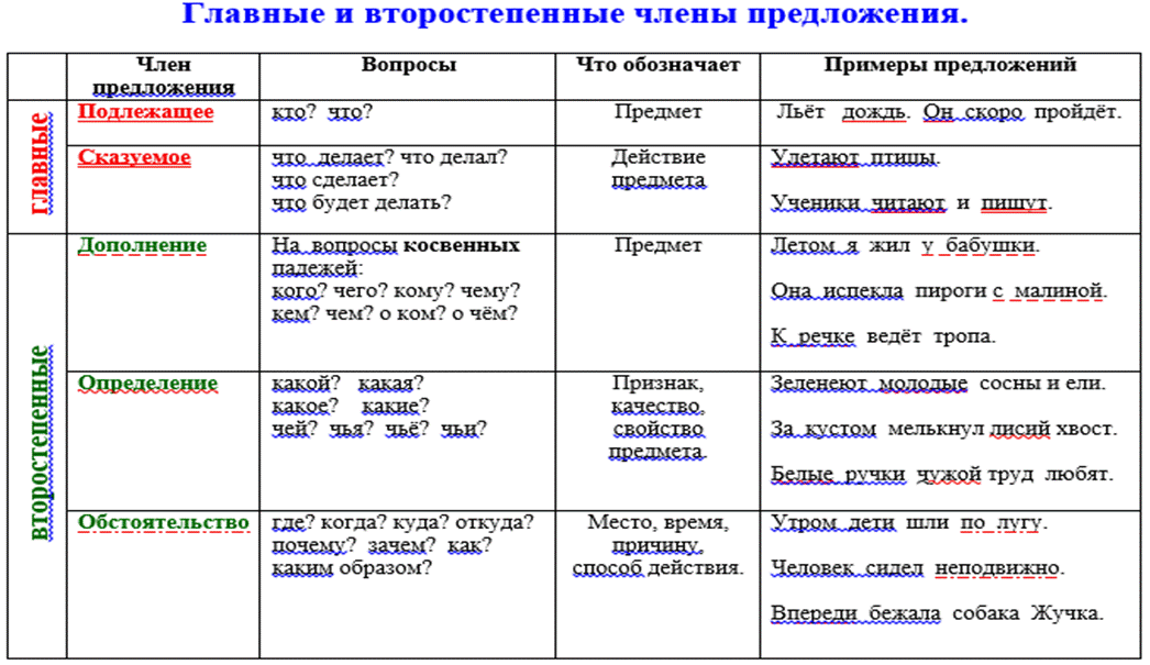 Члены предложения: виды, примеры, обозначения