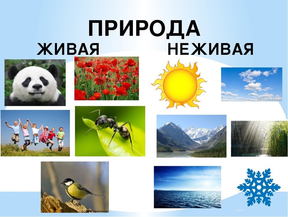 Тела, вещества, частицы