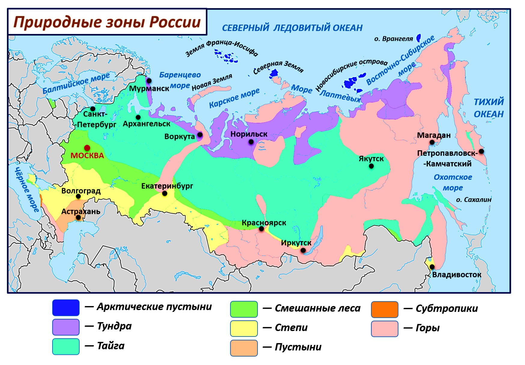 Природные зоны: что это, виды, карта, особенности