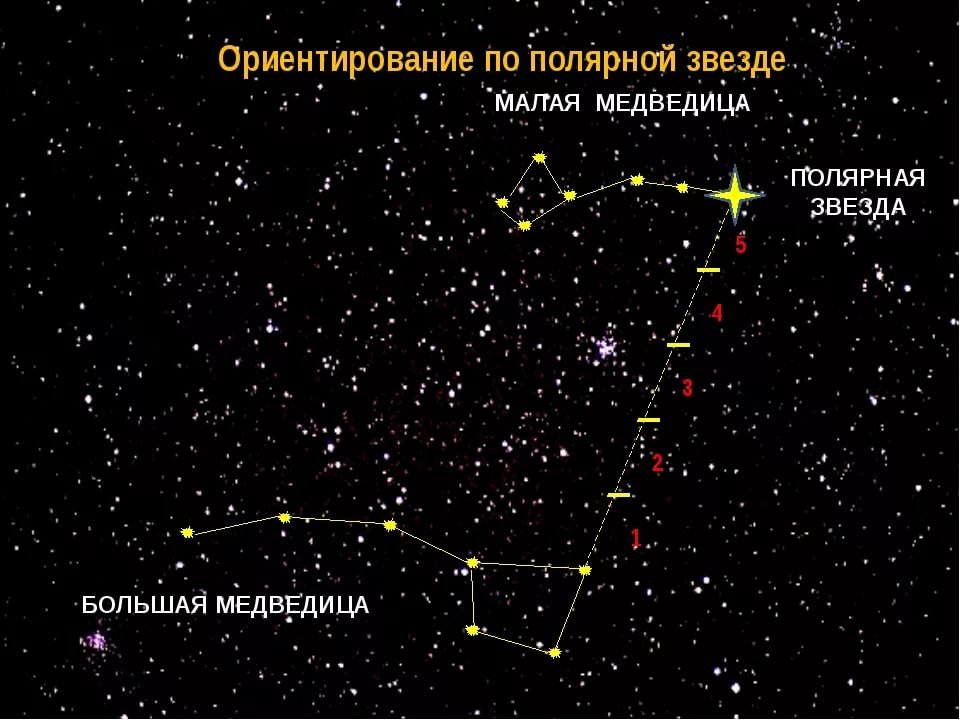 Cозвездие малая медведица